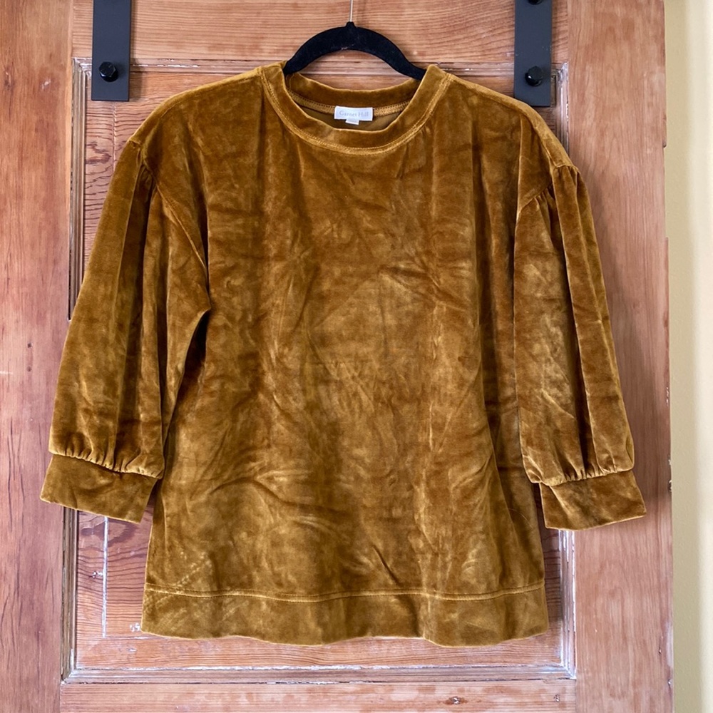 Velvet gold top